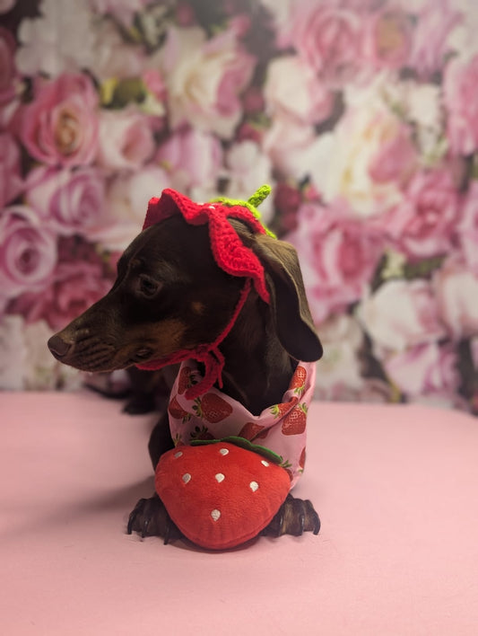 Strawberry dog toy