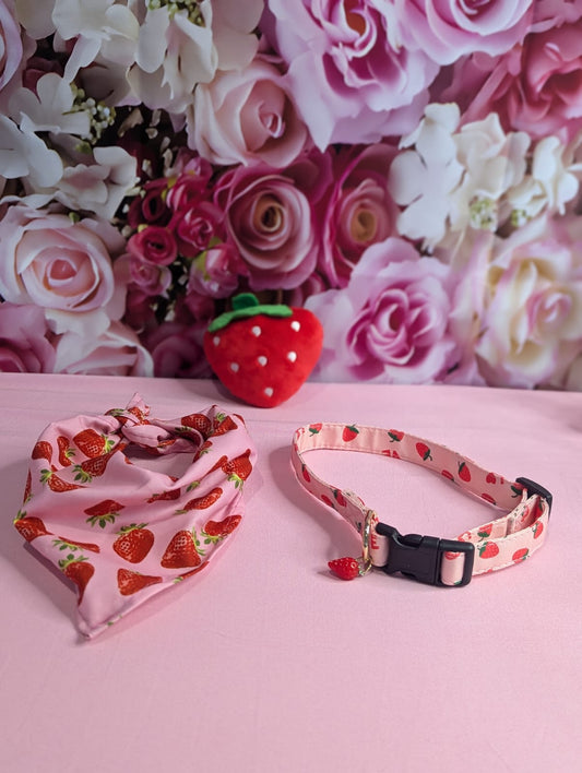 Strawberry dog bundle