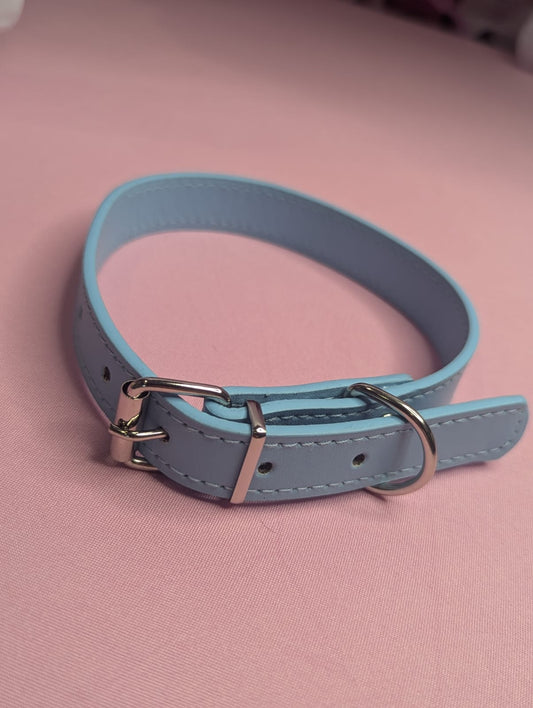 Baby blue dog collar