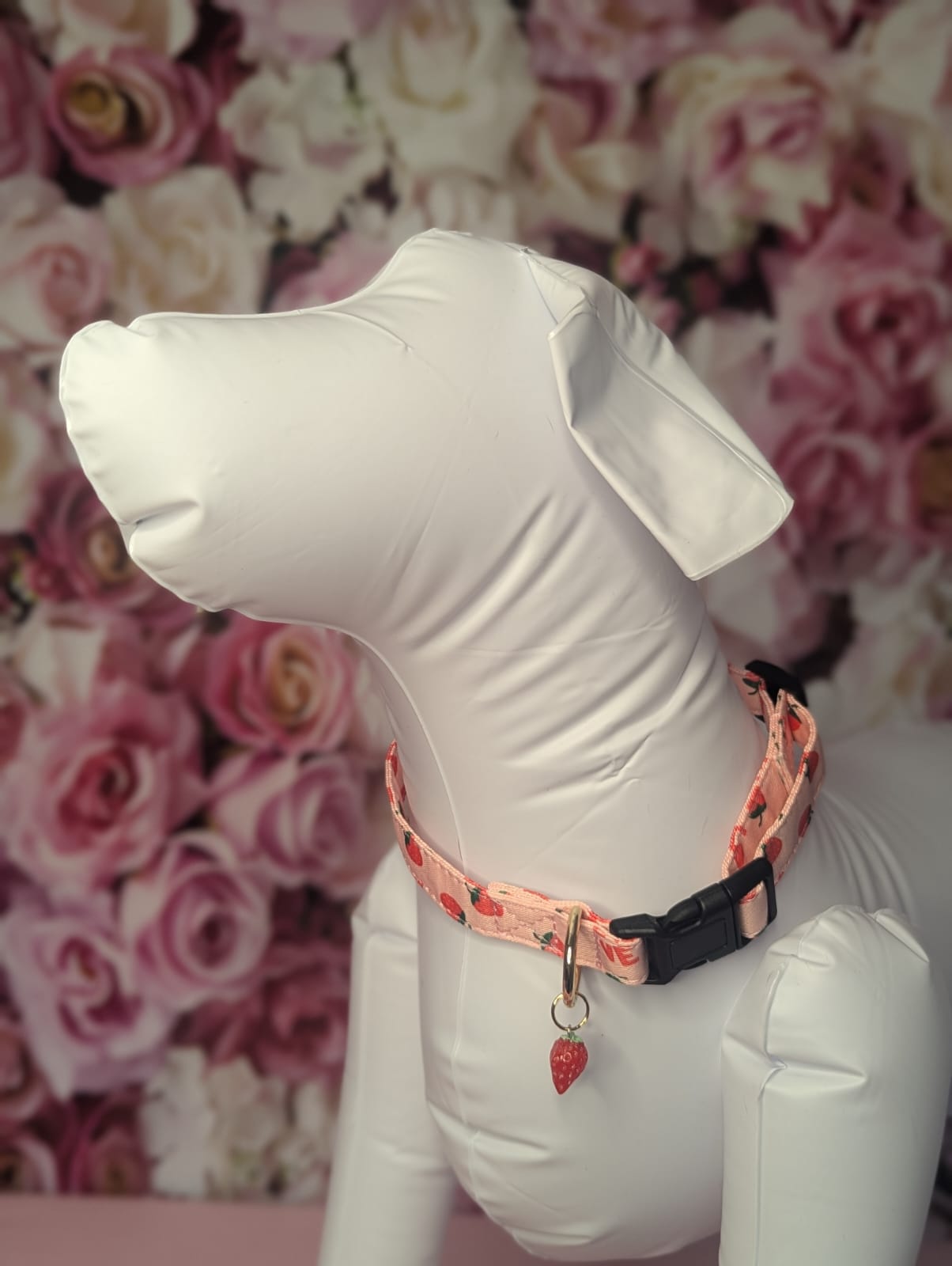 Strawberry dog collar